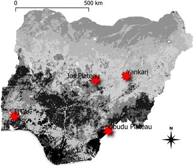 Bergmann’s Rule Holds in Birds Inhabiting Southern Guinea Forests but Not in the Northern Savanna of Nigeria